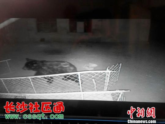 ݬF(xin)桰ܳ] ҧǹ߅Tṩz